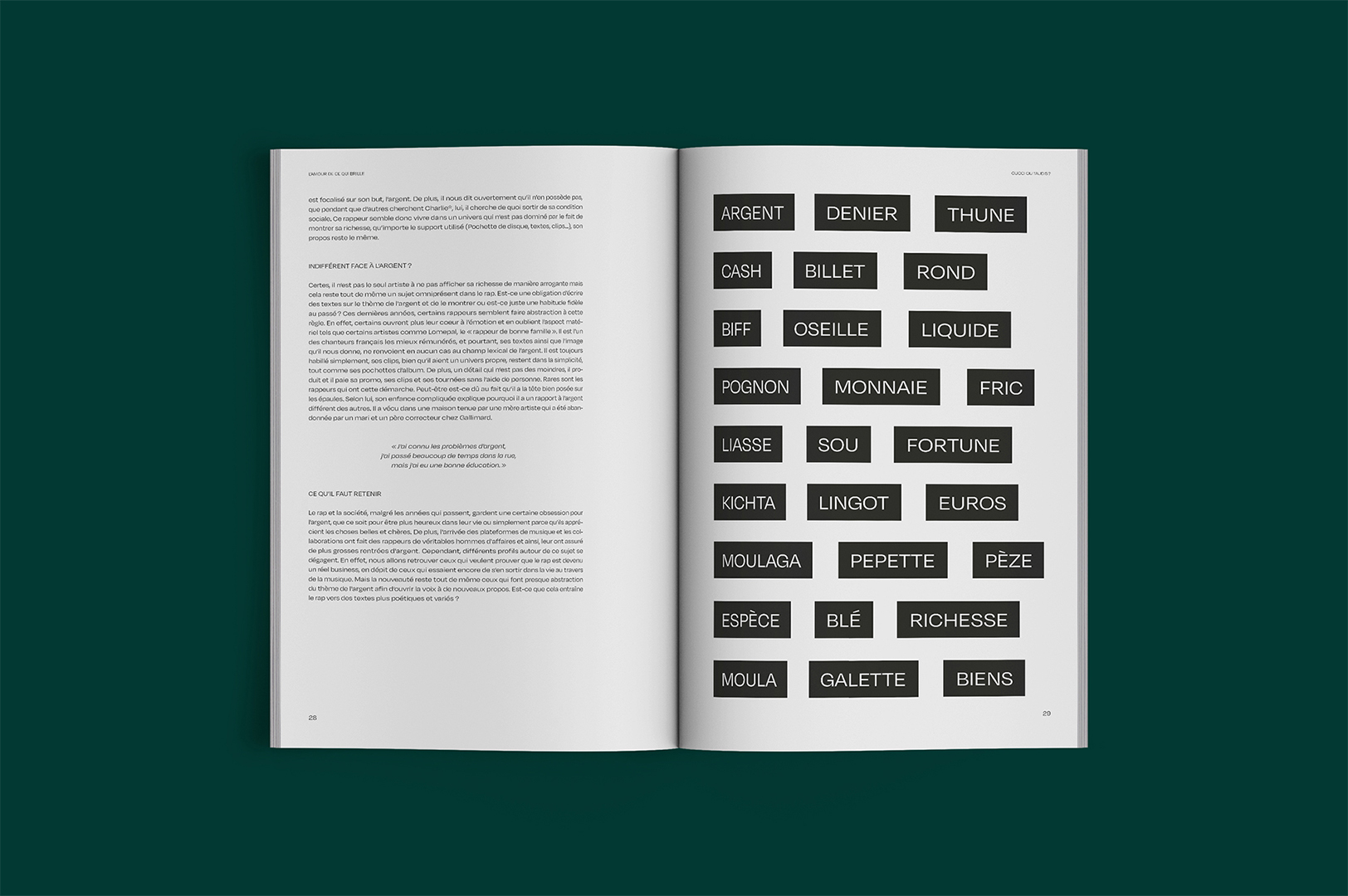 Page champs lexical de l'argent de la revue Nuances